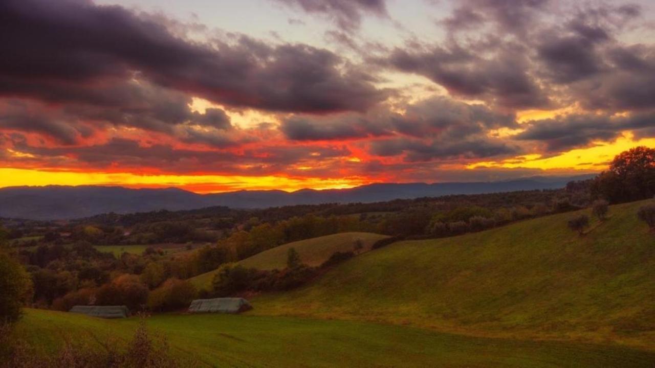 B&B Le Due Volpi Vicchio Bagian luar foto