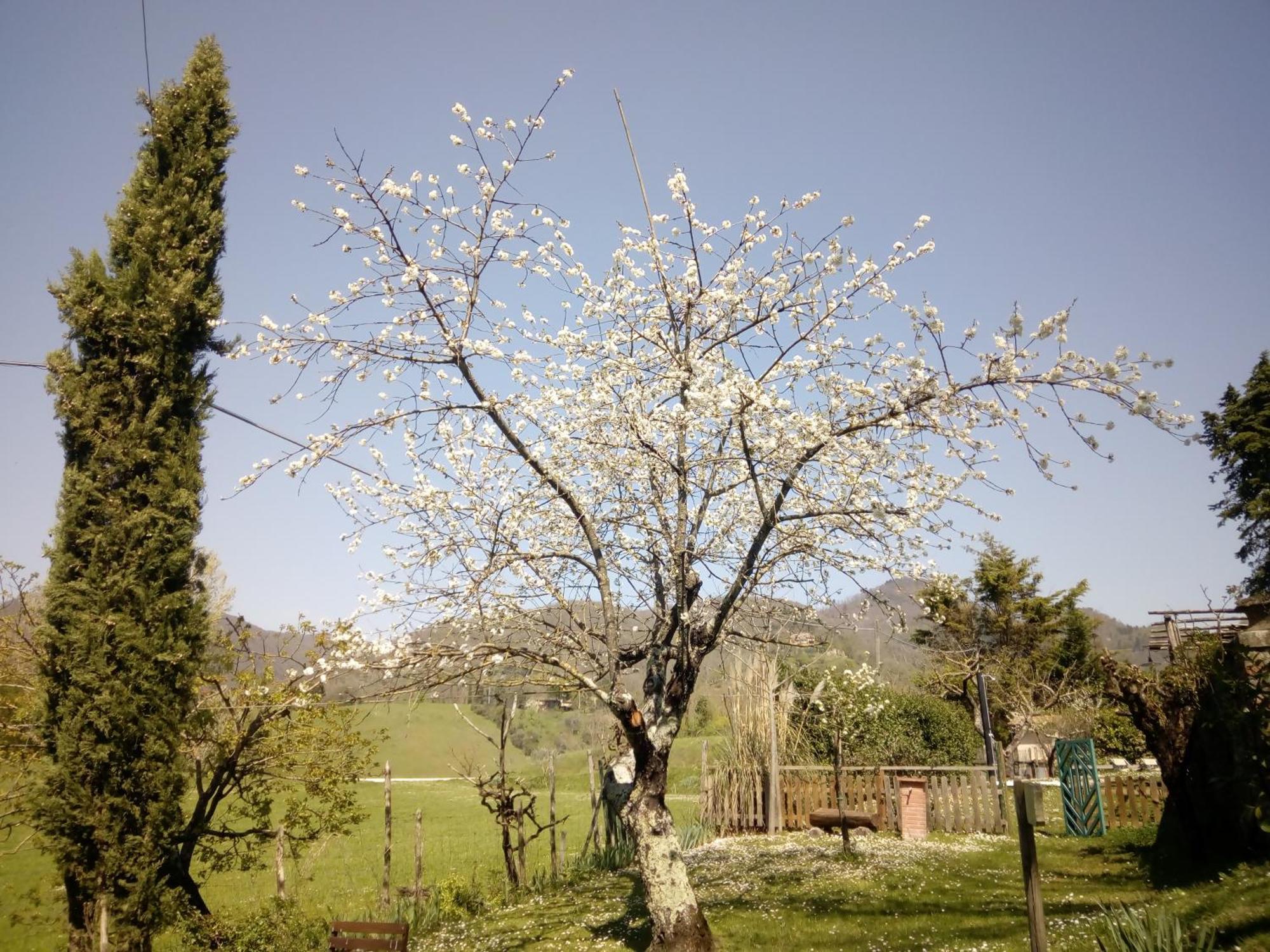 B&B Le Due Volpi Vicchio Bagian luar foto