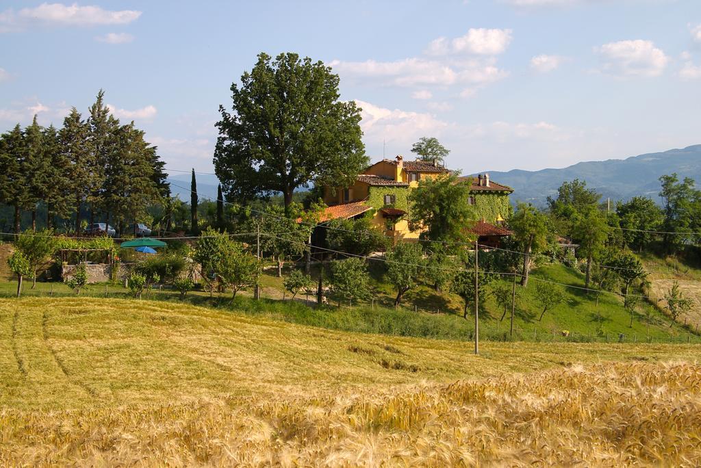 B&B Le Due Volpi Vicchio Bagian luar foto