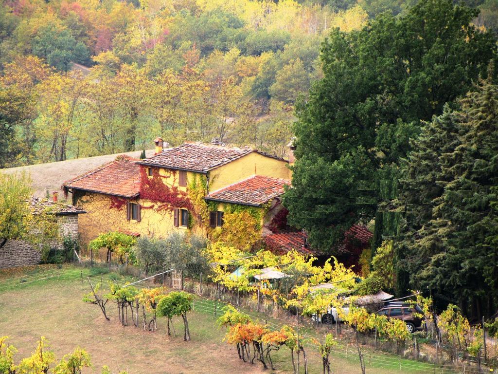 B&B Le Due Volpi Vicchio Bagian luar foto