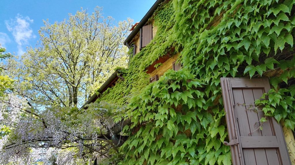 B&B Le Due Volpi Vicchio Bagian luar foto
