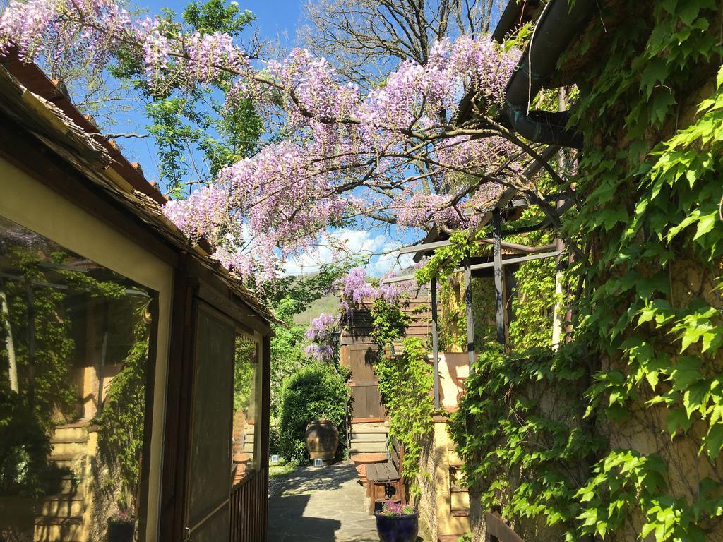 B&B Le Due Volpi Vicchio Bagian luar foto