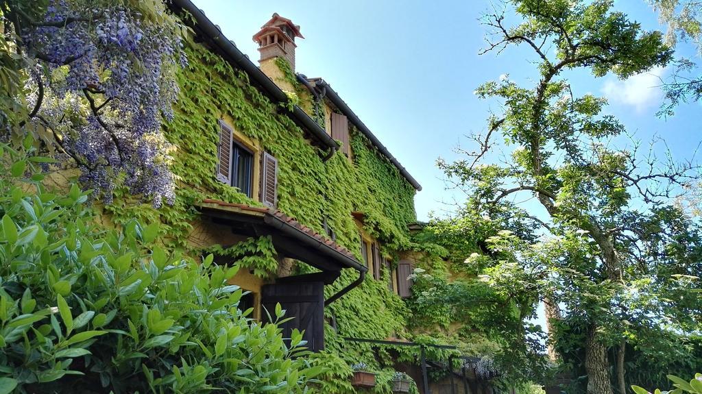 B&B Le Due Volpi Vicchio Bagian luar foto