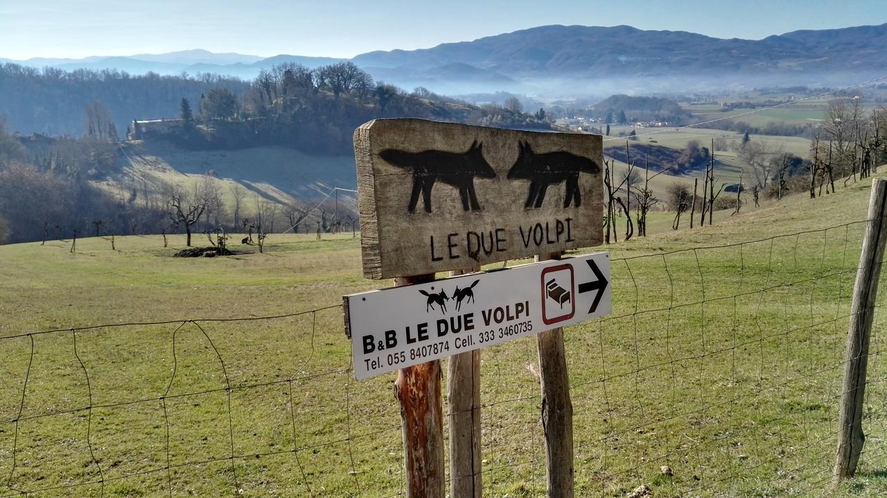 B&B Le Due Volpi Vicchio Bagian luar foto