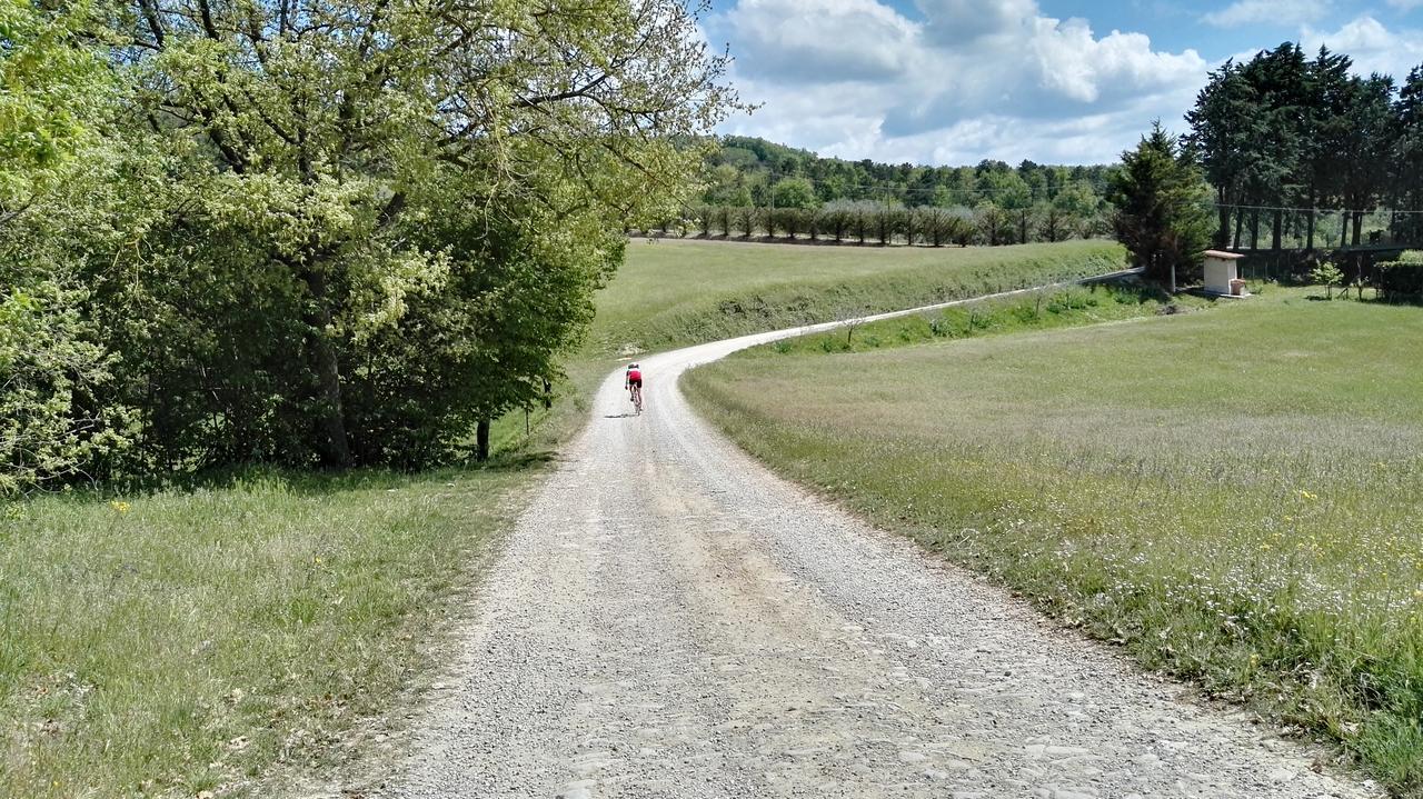 B&B Le Due Volpi Vicchio Bagian luar foto