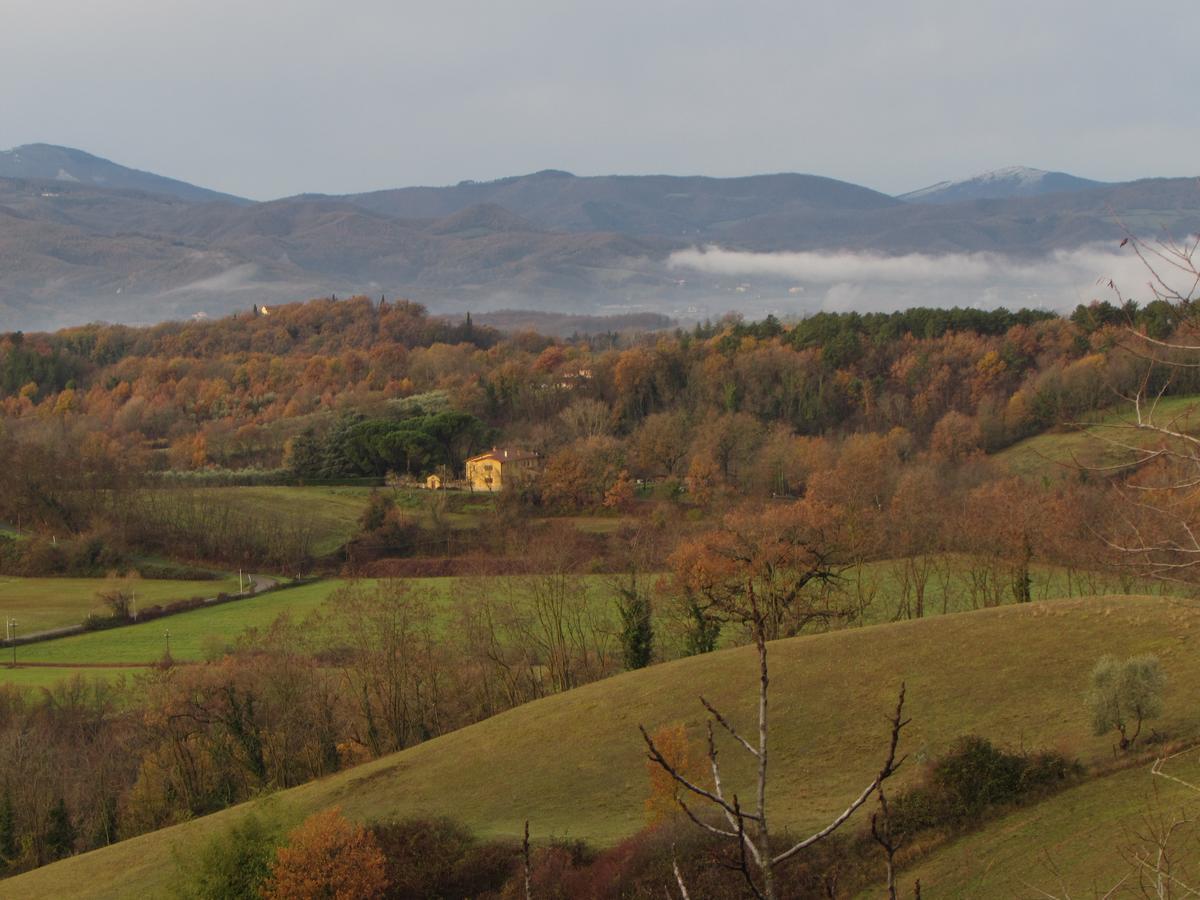 B&B Le Due Volpi Vicchio Bagian luar foto